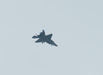 IMG_4566.jpeg
