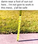 1751617347507.jpeg