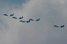 IMG_2375.jpeg