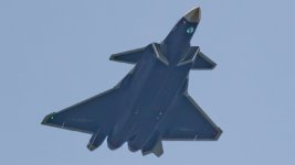 IMG_2379.jpeg