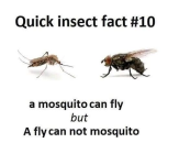 1751723218382.png