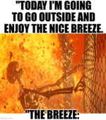1751725521333.png