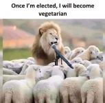 1751727977554.png