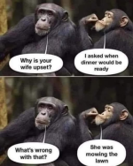 1751924382900.png
