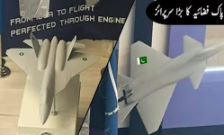 NASTP-STEALTH1.png