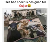 1752525761806.png