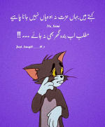 1752754556646.png