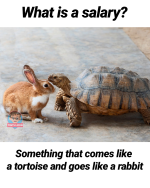 1752873850481.png