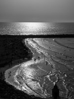 OutNAbout-5248.jpg