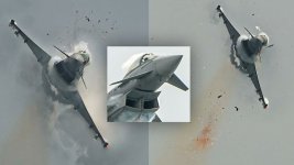 EF2000-bird-strike.jpg