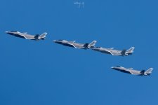 IMG_2779.jpeg
