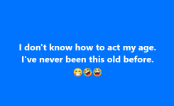 1753044705175.png