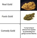 1753342636588.jpeg