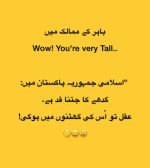 1753381979408.png