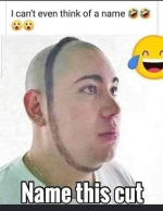 1753448054357.png