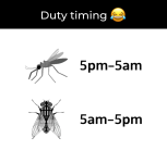 1753532582913.png