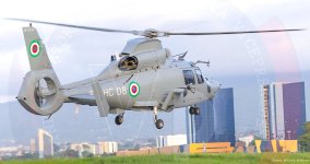 Z-9WE_Guinea1.jpg