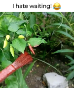 1753830085170.png