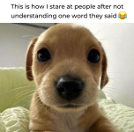 1753888653733.png