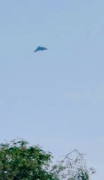 IMG_3327.jpeg