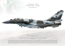 J-10CE PAF 22-114 - Ugo.jpg
