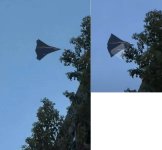 maybe CCA - 20250808 - 3 clearly fake.jpg