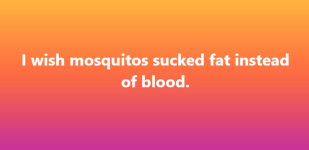 1755095177512.png
