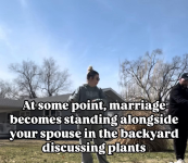 1755209268689.png