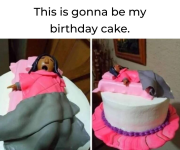 1755539826867.png