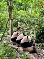 整整齐齐一起炫饭_1___Chris_来自小红书网页版.jpg