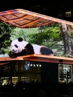 成都citywalk！熊猫打卡一日游🐼吃喝攻略！_10_小K_来自小红书网页版.jpg