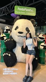 🐼成都｜大熊猫基地打卡➕出片攻略🐾_2_鱼翅孔雀_来自小红书网页版.jpg
