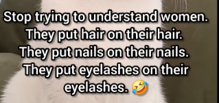 1756040768569.png