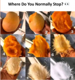 1756067345558.png