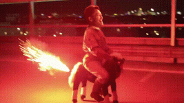ass.gif ass.gif
