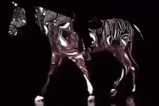 back and forward.gif
