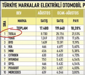 teslaTurkey.png