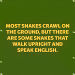 1757109555054.png