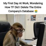 1757196253467.png