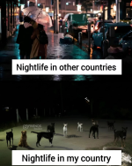 1757196358073.png