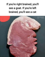 1757196472574.png