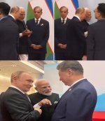 sco.jpg