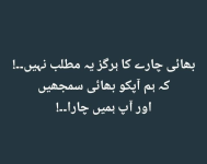 1757618862233.png