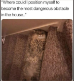 1757626399002.png
