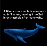 1757973760637.png