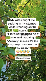 1758141308287.png