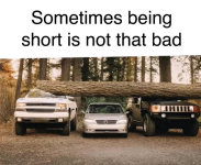 1758141461793.png