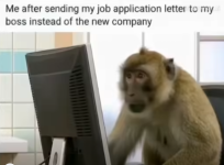 1758146102975.png