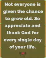 1758312556931.png