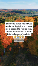 1758316740479.png